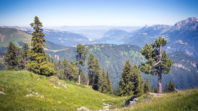 Uitzicht over het Meer van Annecy vanaf de La Sambuy in de Franse Alpen by Karel Pops