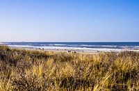Kijkduin Strand von den Dünen