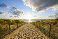 Dünen, Strand und Meer