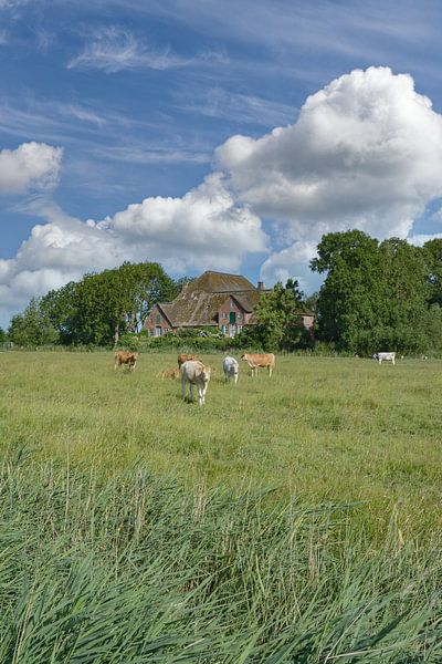 Traditionele Haubarg op het schiereiland Eiderstedt van Peter Eckert