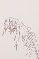 Schoonheid van de natuur 2