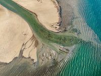 Die Radolfzeller Aachmündung