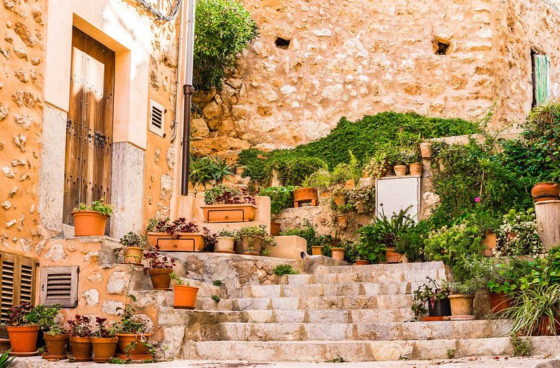 Décoration végétale traditionnelle sur l'île de Majorque par Alex Winter