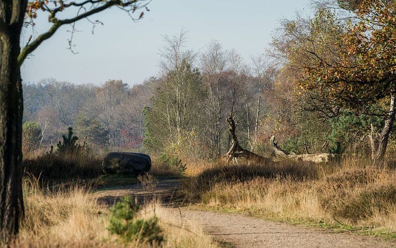 At the beginning of Autumn by Mart Houtman