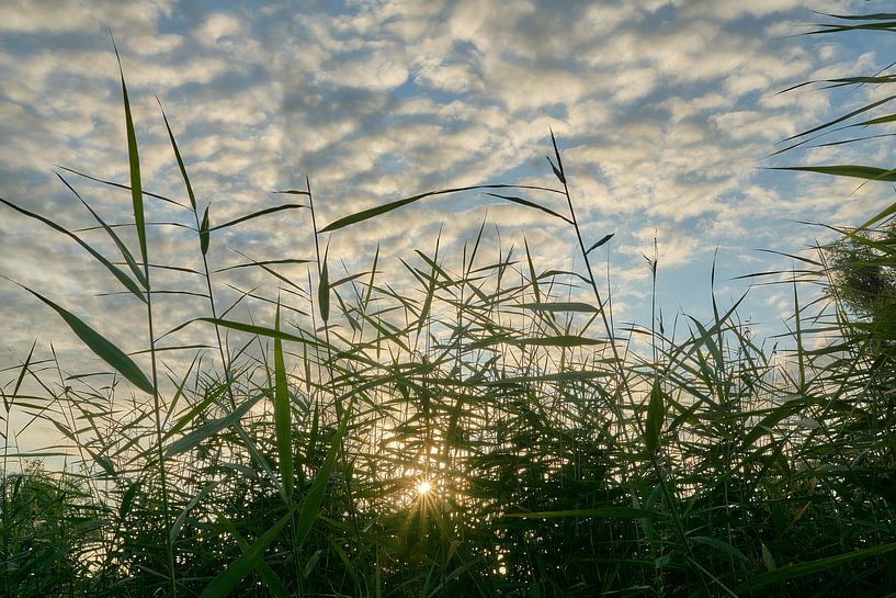 Sonnenaufgang bei Werk aan de Groeneweg von Ad Jekel