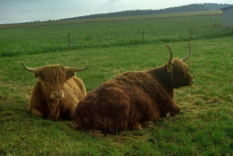 Unterwegs in der Natur von Johnny Flash