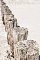 Verwitterte Schönheit: Der Zauber der Watteninseln