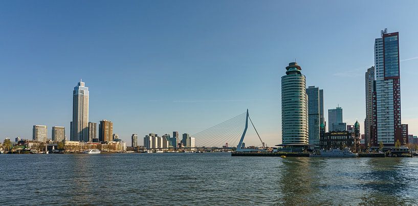Rotterdam skyline. by Jaap van den Berg
