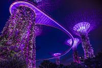 Singapore Marina Bay Gardens Skywalk by night