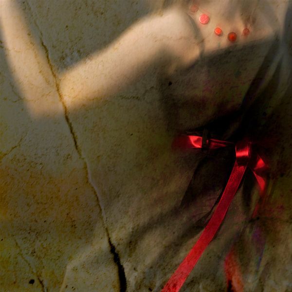 One day I'll fly away von Els Baltjes