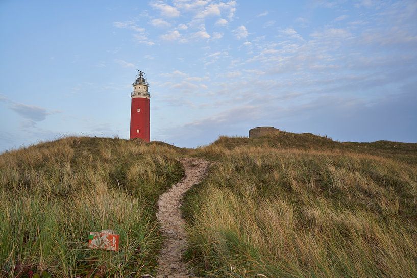 Die Dünen und der Leuchtturm auf Texel von Lisanne Storm