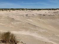 Dunes Rockanje