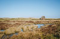 Schafstall in der Sonne in der Texeler Wattenlandschaft | Niederländische Fine Art Naturfotografie