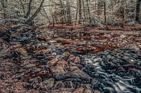 River in the High Fens