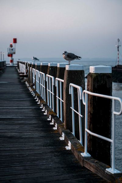 Rust aan de Kust Meeuwen op een Stille Pier bij Zonsondergang - Vlissingen van Femke Ketelaar