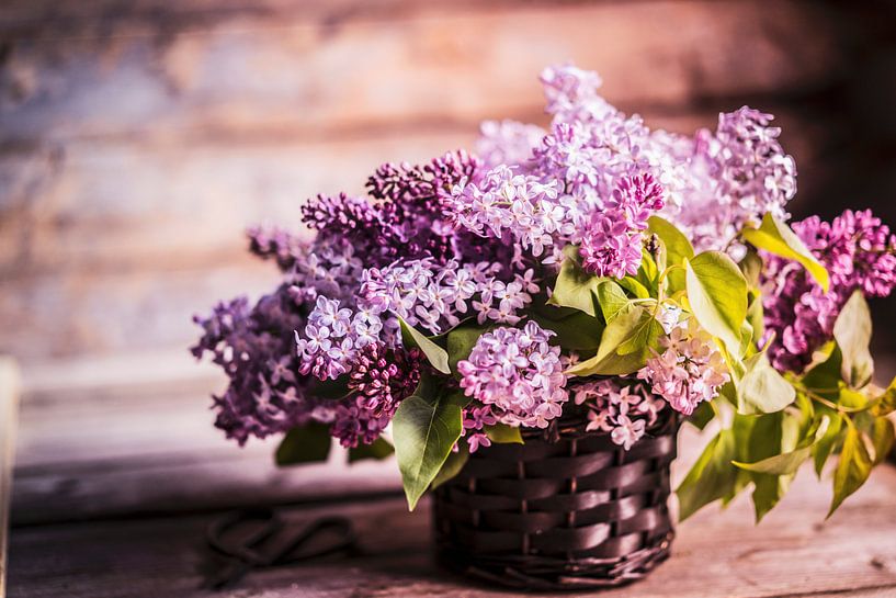 Bouquet de lilas dans un panier par BeeldigBeeld Food & Lifestyle