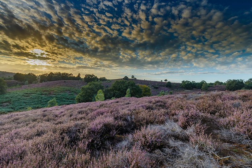 The Posbank. by Menno Schaefer