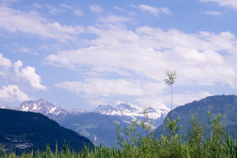 Alpen von Miranda van Hulst