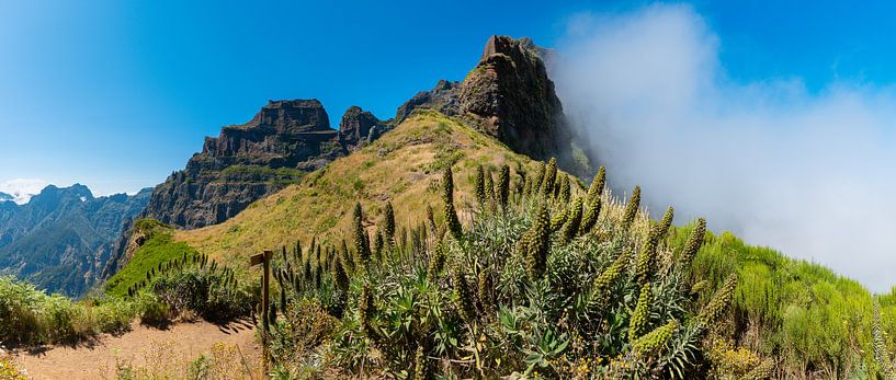 Mountain love by Alexander Dorn