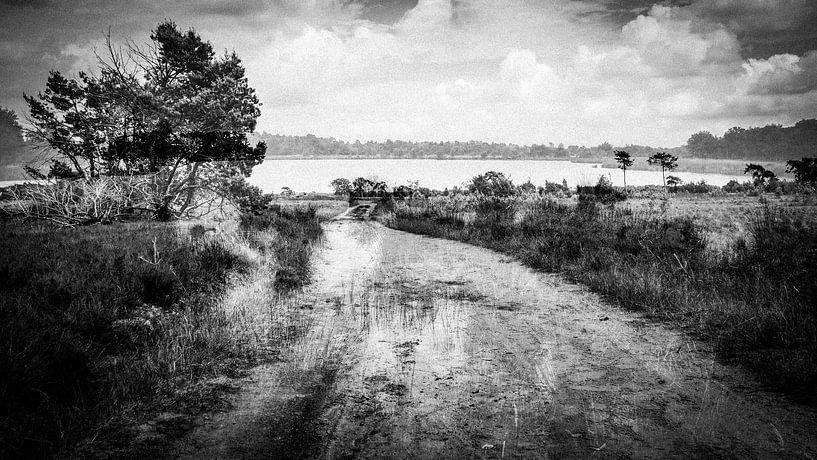 Het onbekende von Geert van der Sanden