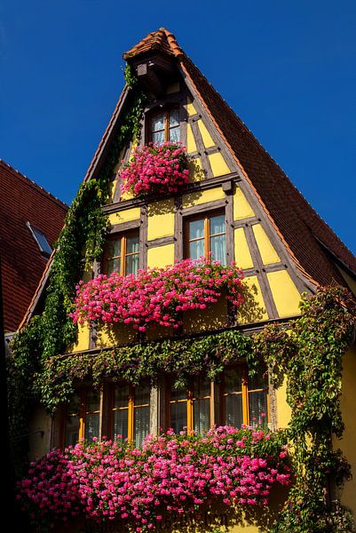 Flowers in Rothenburg, Germany by Adelheid Smitt