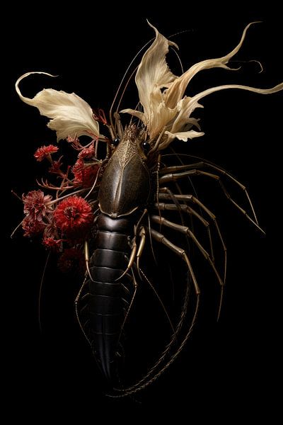 Lobster as art object by Digitale Schilderijen