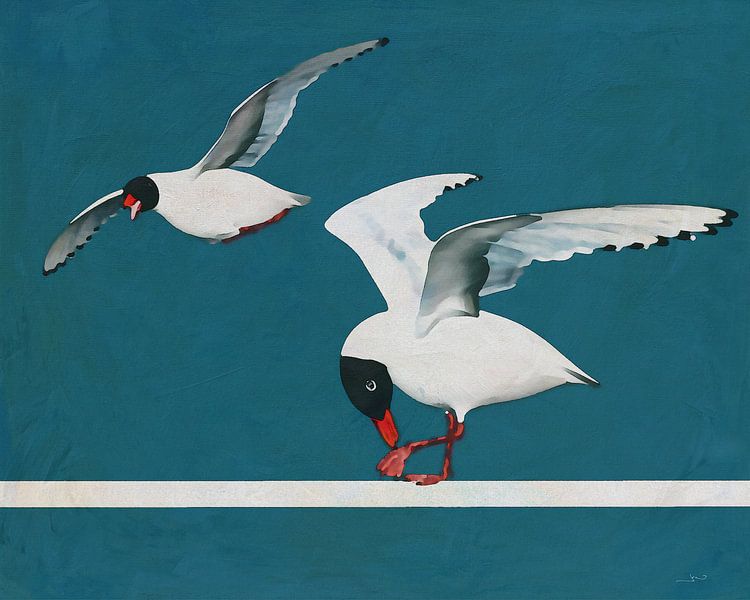 Une mouette a sa place par Jan Keteleer