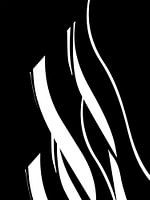 Organic 17 | Black & White