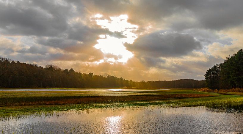 Sun_01 by Johan Honders