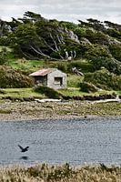 Hutje langs het water