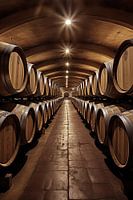 Vue de la cave à vin