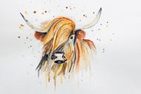 Schottischer Hochländer - Aquarell