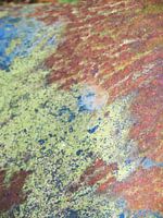 Autowrack mit Rost 12