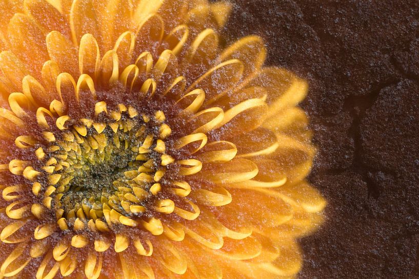 Flower with textured stone in warm colours by Lisette Rijkers