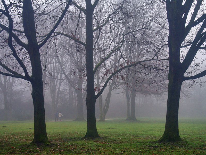 Nebel 25 von Edgar Schermaul