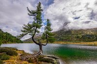 Upper Lake East Tyrol