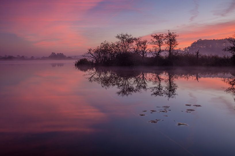 Dawn in National Park Weerribben-Wieden by Wilko Visscher