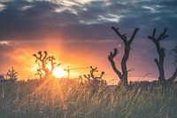 Magnifique coucher de soleil coloré