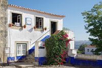 Een huis met bougainvillea in Óbidos (Portugal)