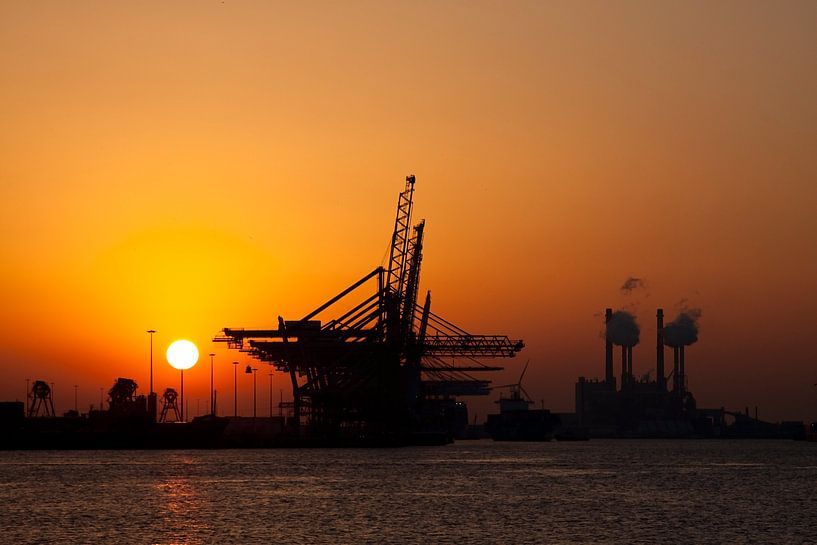 Coucher de soleil sur la Maasvlakte par Guido Akster