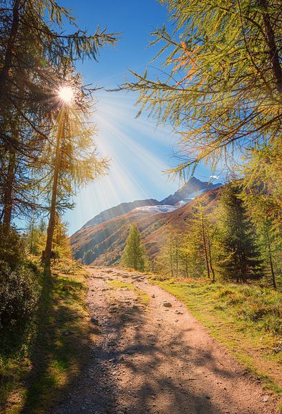 Wanderweg im Sertigtal Graubünden von SusaZoom