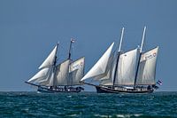 Luciana et Catherina en haute mer.