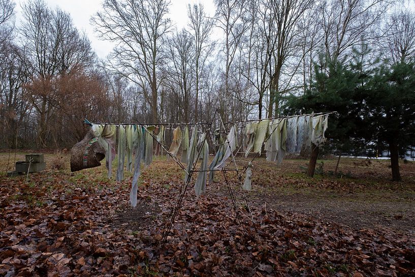 Le linge oublié par Truus Nijland