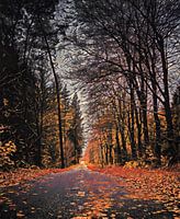 Autumn lane in Ede painting