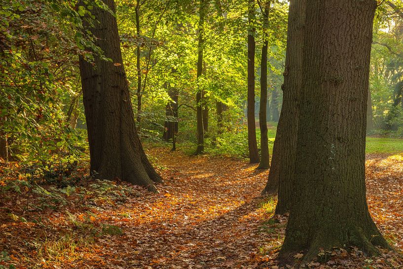 Fraeylemaborg country estate - Slochteren (Netherlands) by Marcel Kerdijk