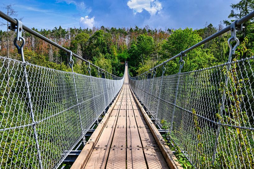 Vue du pont suspendu Hohen Schrecke par Andreas Völkel