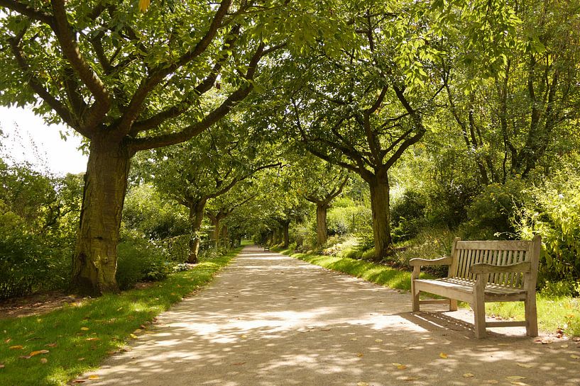 Wiederholung von Bänken und Bäumen I Jardins de Valloires I Picardie, Frankreich I Farbdruck von Floris Trapman