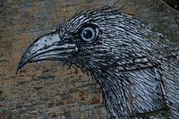 Graffiti in Doel (Belgien)