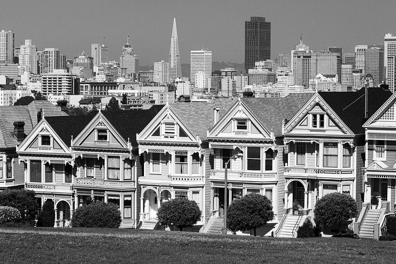 The Painted Ladies in Black and White, San Francisco by Henk Meijer Photography