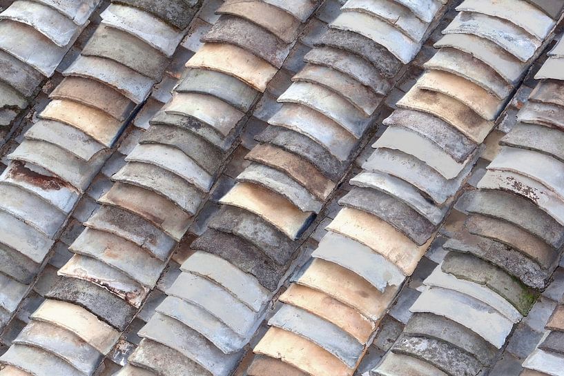 Lignes diagonales par Inge Hogenbijl